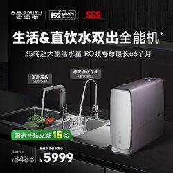 A.O.SMITH AO史密斯家用直饮反渗透厨下双出水过滤净水器R1800DWWi