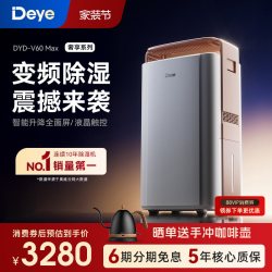 Deye 双变频除湿机 家用净化地下室防潮别墅轻音智能抽湿器V60Max