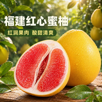 福建老树红心蜜柚 新鲜现摘 老树果味更浓 净重4-5斤（2-3粒）