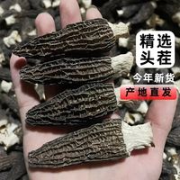 菌裕 秦岭特产 羊肚菌干货精品50g 产地直发