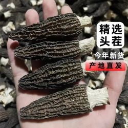 菌裕 秦岭特产 羊肚菌干货精品50g 产地直发