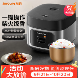 九阳 电饭煲4L至5L容量家用电饭锅多功能智能预约快速米饭电饭煲一键启动 远航灰/ 5L