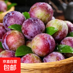 四川正宗小脆红李子 生鲜应季 红脆李脱骨李 夏日必备水果李子 2斤小果（10g-20g）