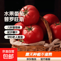 京喜加 高山生态草莓芯西红柿水果番茄起沙即食柿子老人孕妇可生吃蔬菜 带箱大果 2斤