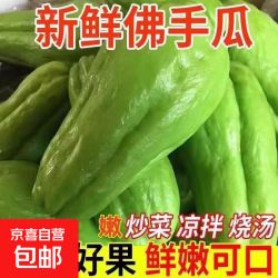 京喜加 云南高原新鲜现摘佛手瓜丰收瓜洋丝瓜倭瓜寿瓜蔬菜 带箱 2斤