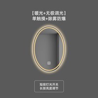 佳斯澜 椭圆形 LED带灯智能浴室镜