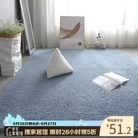 布迪思 羊羔绒地毯 蓝灰色 80