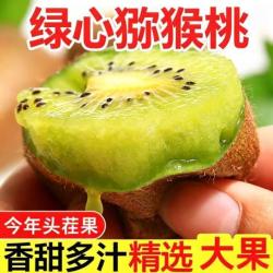 绿岸 带箱5斤正宗绿心猕猴桃奇异果当季新鲜水果应季批发包邮