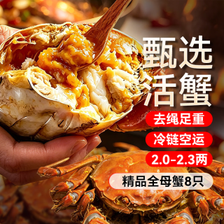 蟹简史 全母大闸蟹 去绳足重2.0-2.3两 8只鲜活现货螃蟹中秋礼盒 优惠券减18元 拍下100元