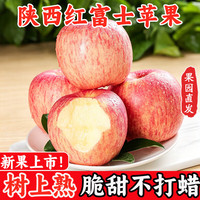 京愿 陕西红富士苹果水果脆甜丑苹果平果新鲜水果生鲜 5斤装|净重4.5斤