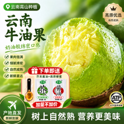 南阙 云南牛油果 单果40g-70g 10个装（送蜂蜜+芥末酱油）