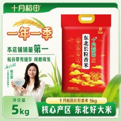 十月稻田 长粒香米