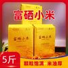 莲宇康 山西黄小米新米 忻州富硒小米 正宗当季食用小米粥 未抛光 暗黄色