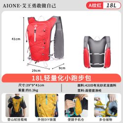 艾王 悬浮背负系统 黑色 30L 户外登山双肩包