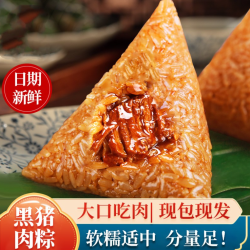 甄选肉粽100g只传统嘉兴风味手工软糯招牌端午速食美味粽子