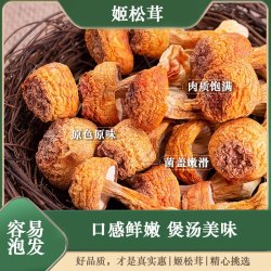 食格 新鲜脆嫩无硫干货云南美松茸生菌巴西菇菌菇甄选煲汤炖鸡