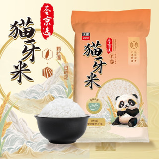 太粮 50斤 25KG 太粮猫牙米丝苗米长粒香大米籼米长粒米一级大包装批发