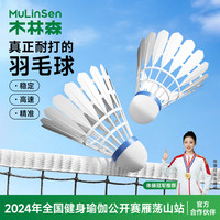 木林森 尼龙羽毛球耐打稳定专业训练羽毛球室内外比赛通用pu头用球