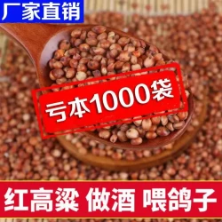 厂家直销东北大红高粱去壳带皮鸽粮酿酒小红粒当季高粱
