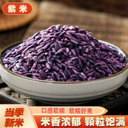 七彩纳沃 农家新货云南紫糯米血营养清香西米露菠萝饭原料大米散装五谷杂粮