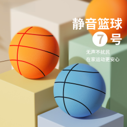 细玖 静音篮球无声室内静音球训练5号儿童家用专业成人7七号篮球架球框