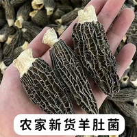 农家干羊肚菌2两装到手约66根装 新货干羊肚菌干货  肉厚鲜嫩煲汤