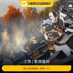 [婺源篁岭-大门票+往返索道票]