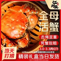 江问鱼 大闸蟹 全母3.0-3.3两 6只装 礼盒装