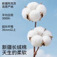 棉奇熊 女童内衣女孩发育期纯棉长款吊带小学生12岁抹胸少女成长背心文胸