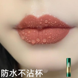溥畔 口红30到40岁不掉色不脱色口红自然黄皮素颜显白持久防水哑光保湿