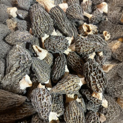 棕林寨产地直发羊肚菌仿野中个精品188肉质肥厚250克