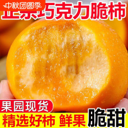汇果康 巧克力脆柿子新鲜水果柿子当季正宗冰糖心黄甜脆火晶整箱包邮脆甜