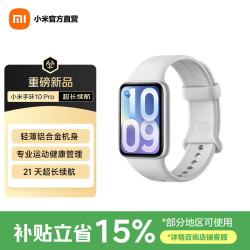 小米 10 Pro 标准版 智能手环 灰色 TPU