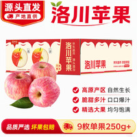 京觅 苹果 9枚单果235g+
