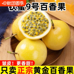 红了枝头 海南黄金百香果新鲜钦密九号百香果白香果水果应季黄金果超甜现摘