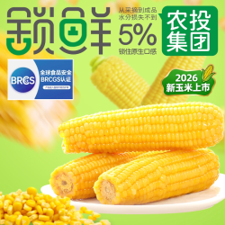 北誉甄品 2026年头茬新玉米正宗东北甜玉米黄糯玉米新鲜软糯香甜粘苞米大棒