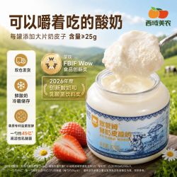 西域美农 欧若姆奶皮子酸奶570g*2加量奶皮内蒙古奶制品非干噎酸奶