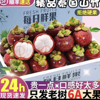 山竹5斤4A级大果