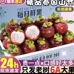 山竹5斤4A级大果