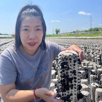 2026头茬东北特产黑龙江东宁黑木耳产地直采