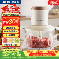 奥克斯 绞肉机家用 绞馅机 碎肉机 电动多功能料理搅拌机打肉机饺子肉馅蒜蓉机 搅肉机JR116