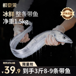 鲜京采 冰鲜舟山带鱼整条3斤 8-9条 源头直发 中秋开海第一口鲜