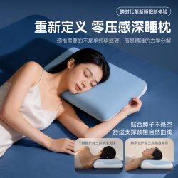 智国者 记忆枕头护颈椎枕深度睡眠侧睡慢回弹