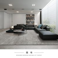 梦雯 高级灰地毯客厅轻奢高级感现代简约茶几毯深色耐脏家用大平层地毯