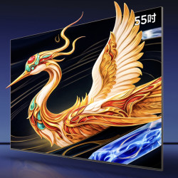 雷鸟 鹤6 27款 平板电视 55寸