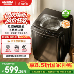 澳柯玛 12KG公斤全自动波轮洗衣机家用大容量 一级能效家用租房宿舍AQ120F01