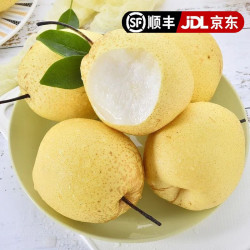 同甘园 JD/顺丰正宗雪梨雪花梨梨子冰糖雪梨  整箱5斤精选单果130-160g 净4.5斤