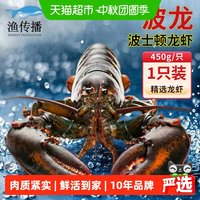 88VIP：渔传播 加拿大波士顿大龙虾海鲜水产鲜活