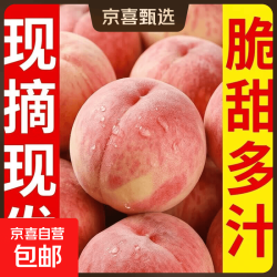 京喜加 京东到家 带箱5斤净重4.5斤小果