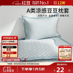 Hodo A类印花夏凉冰丝枕套一对装 家用枕芯套夏天凉感枕头套48*74cm蓝